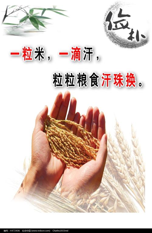 大成学院大学 International Business Certificate